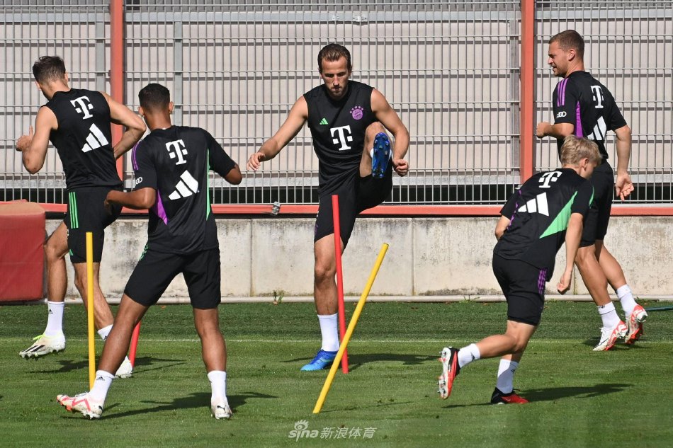 这种特质不 这种特质不