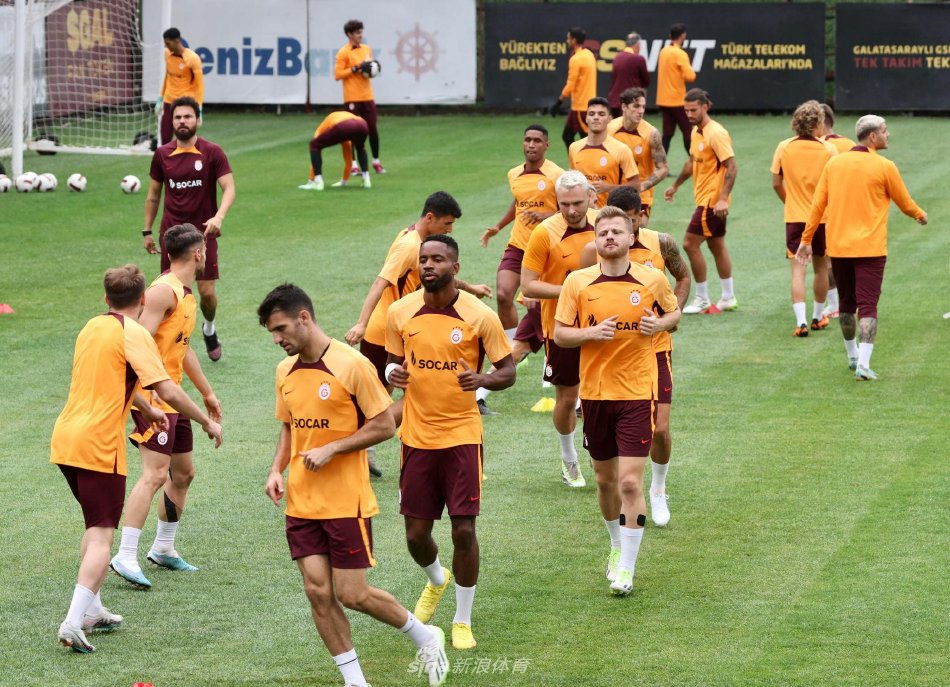 此次他选择 此次他选择